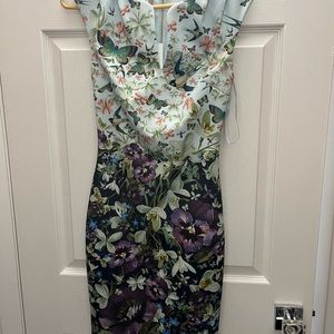 XS Ted Baker dress. Worn once!